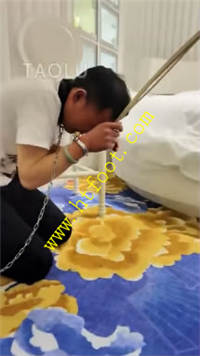 p1xjlax0igv.jpg