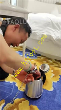 lbox2josidf.jpg