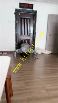 w2ja3hehlgh.jpg