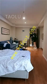 bdspyrm04jn.jpg