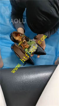 l1qtuxrmqdw.jpg