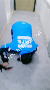 wautoqdyjkf.jpg