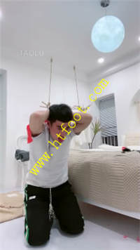 qhclomo1psj.jpg
