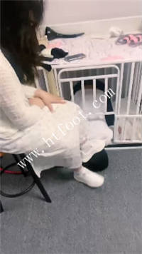 bz03x3npedj.jpg