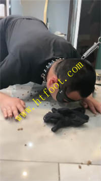 tgs5ajz0x1x.jpg