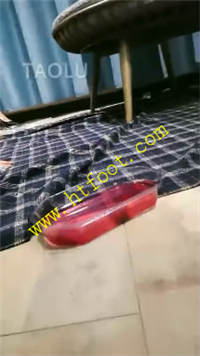ibb3az1cosy.jpg