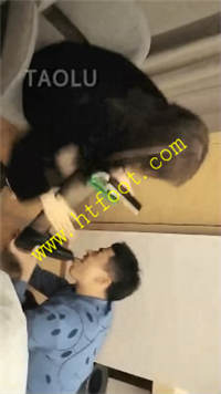 cqx13qukenf.jpg