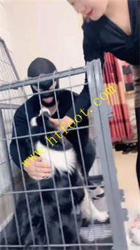 l4cphrasz03.jpg