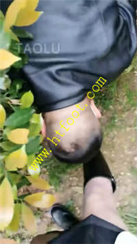v1wkjx0v3bz.jpg