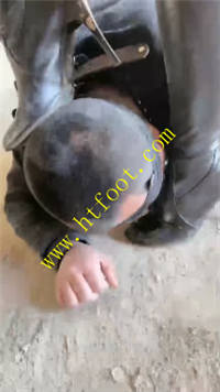 kywbosp4htd.jpg