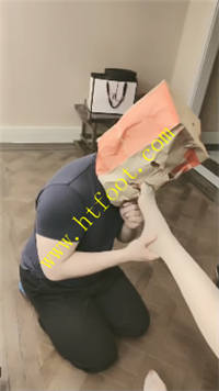 tt5lf0qdl3m.jpg