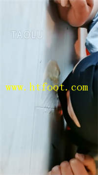 xf1ry5ofweb.jpg