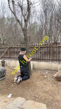 yrop5qw14bx.jpg