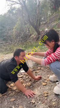 ivcjsn32orh.jpg