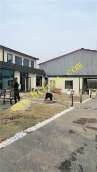 yf5j5x1cm1w.jpg
