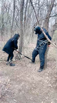 kabceyegj34.jpg