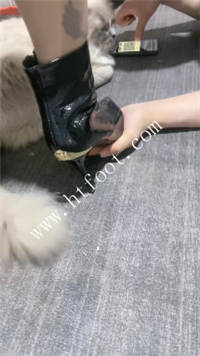 bjt4yjky2hj.jpg