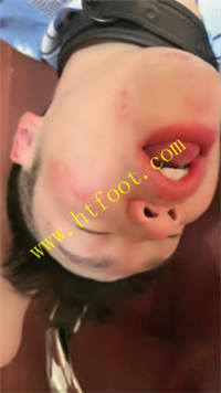 dpqvqi2n53r.jpg