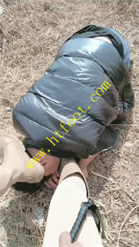 5dx3pd1zm2j.jpg