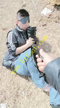 ever2yjjki4.jpg