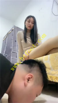 t3f3aqadlls.jpg
