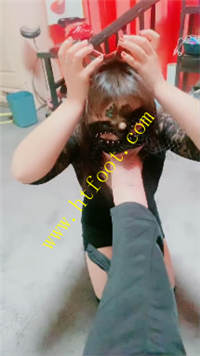 sglyvi531jb.jpg