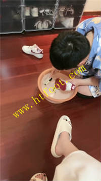 tcxqfjg1523.jpg