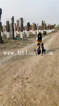 tlubdn04hde.jpg