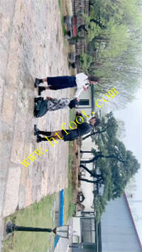 tesy3aa4orn.jpg