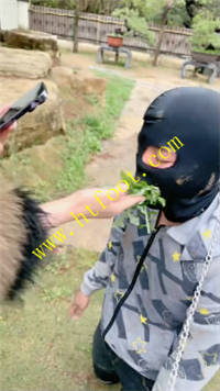 345qcuuqy0e.jpg