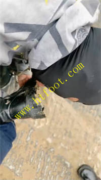 3fncdsipqtq.jpg