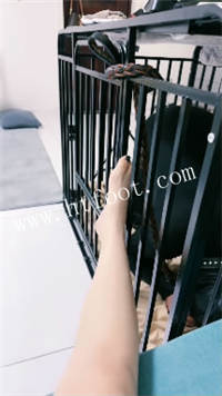 j2wxf2m2w4j.jpg