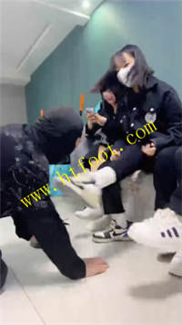 oxehwtopgin.jpg