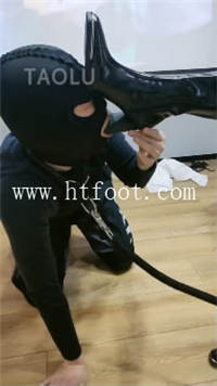 ut2s4hbf4l4.jpg