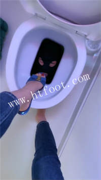 srqbtslefi3.jpg