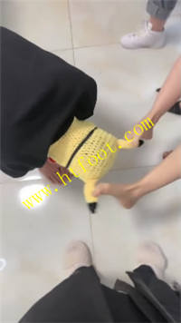nijqfu1k5yw.jpg