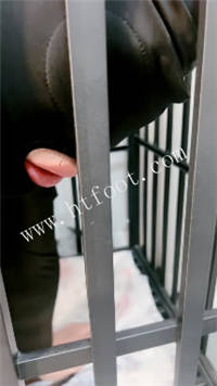 yborp0re241.jpg