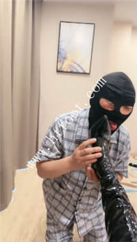 goabejpigsl.jpg