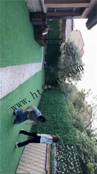tvewrzyr02i.jpg