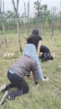 xiwpdhrf2yc.jpg