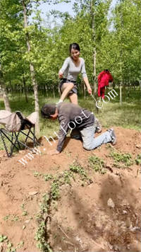 mw4gfgu4ehg.jpg