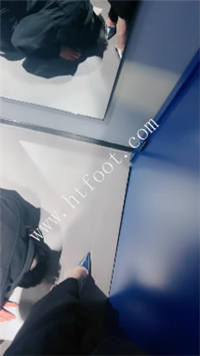 palafx3djf5.jpg