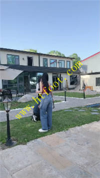 bdzp3hq1amr.jpg