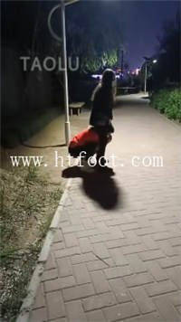 cpajoxb0kut.jpg