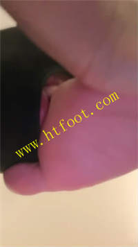 wple04s5t4a.jpg