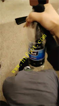 1t0j12b1l1y.jpg