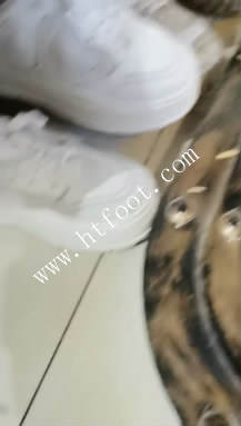 t5fm0qs2240.jpg