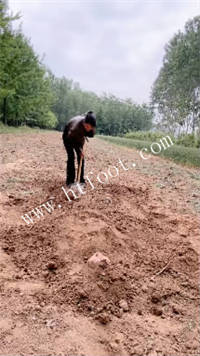 4myftmxwek2.jpg