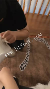 p2plw1jb54i.jpg