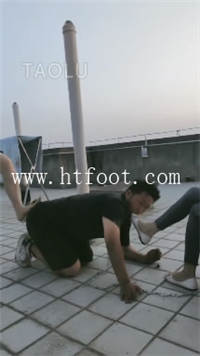 qpu0454wm1q.jpg